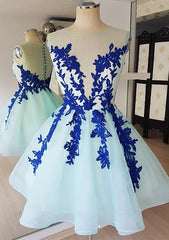 Ball Gown Princess Illusion Neck Sleeveless Organza Knee-Length Homecoming Dresses With Appliqued