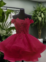 Ball-Gown Off-the-Shoulder Appliques Lace Short/Mini Organza Dresses