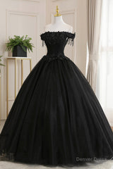 Black Tulle Lace Long Prom Dress, Black A-Line Evening Gown