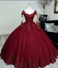 Glitter Long Sleeve Princess Wine Quinceanera Dresses Embellished Sweet 16 Dresses