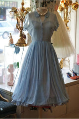 Light Dresses, Chiffon Elegant A Line Doll Collar Short Sleeves Homecoming Blue Chiffon Vintage Style Dresses