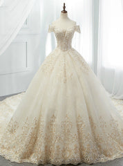 Champagne BallGown Tulle Appliques Off The Shoulder Wedding Dresses