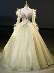 Green Tulle Long Sleeve Appliques Feather Quinceanera Dresses