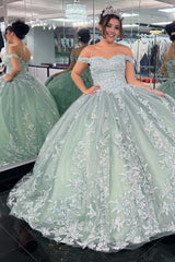 Off-the-Shoulder Dusty Sage Appliques With Lace Up Quinceanera Dresses