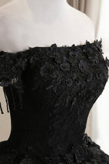 Black Tulle Lace Long Prom Dress Outfits For Girls, Black A-Line Evening Gown